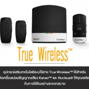 Accessorie True wireless