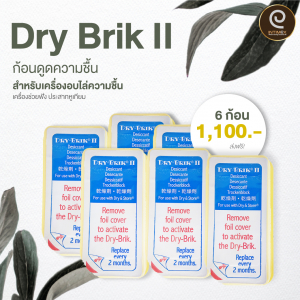 โปรโมชั่น ก้อนดูดความชื้น Dry Brik เครื่องช่วยฟัง ก.ค. 2565