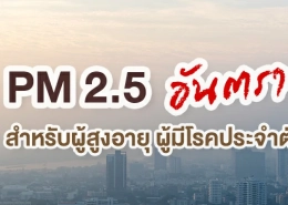 ฝุ่น PM 2.5 อันตราย สำหรับผู้สูงอายุ ผู้มีโรคประจำตัว