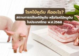 โรคไข้หูดับ เนื้อหมูดิบ